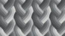 Echo Braid 42380 14 Black Fabric