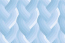 Echo Braid 42380 16 Light Blue Fabric