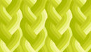 Echo Braid 42380 23 Acid Green Fabric