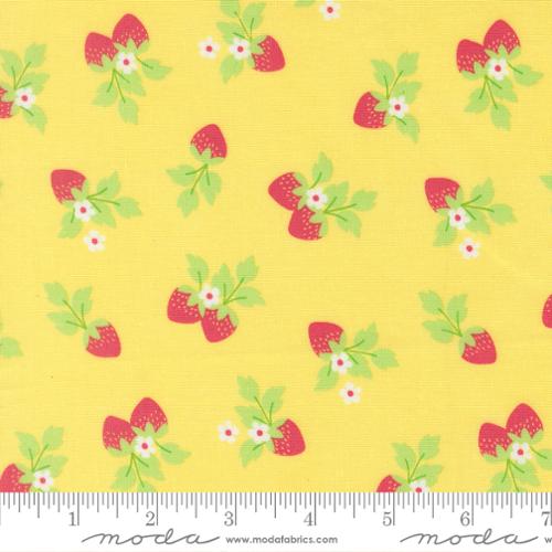 Fruit Salad 29243 17 Sunshine Fabric