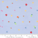 Fruit Salad 29244 22 Light Blue Fabric