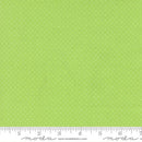 Fruit Salad 29247 19 Lime Fabric
