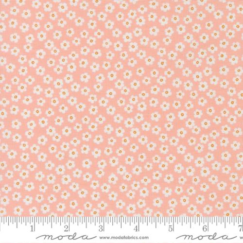 True To Hue 11566 18 Blush Fabric