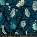 Freaky Familiars RS5190 12 Galaxy Fabric