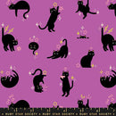 Freaky Familiars RS5193 13 Witchy Fabric