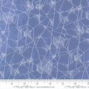 Coven 48804 14 Dusk Fabric
