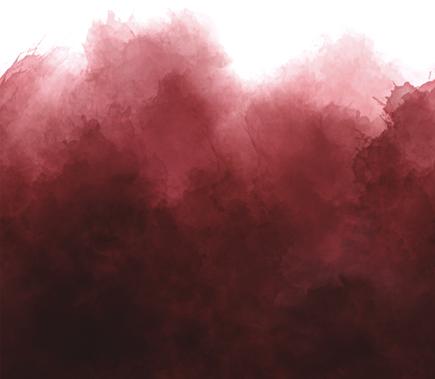 Mystic Ombre 10876 317 Burgundy Fabric
