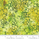 Gradients Gallery - Micro Pigments Blenders Watercolor - Light Green -  Yardage