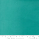 Quilting Cuddle Solid Spruice Yardage