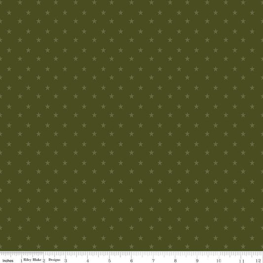 Riley Blake Coming Home Stars Green Fabric