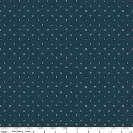 Riley Blake Coming Home Stars Navy Fabric