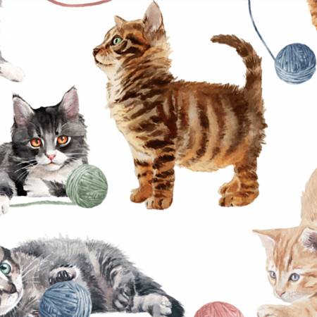 Catnip Digital Cuddle® Multi