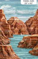 Stonehenge Canyon - Canyon Panel - Blue Multi 28"x 43" - Panel