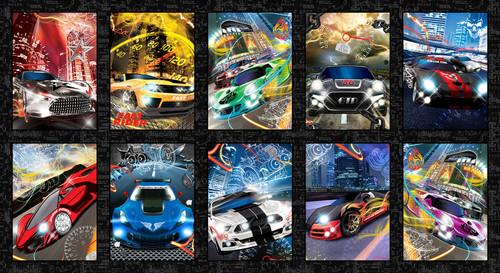 Fast and Wild Race Cars Block 24" x 44" Panel