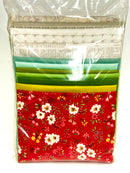 Sew Kind of Wonderful Mod Cactus Quilt Kit