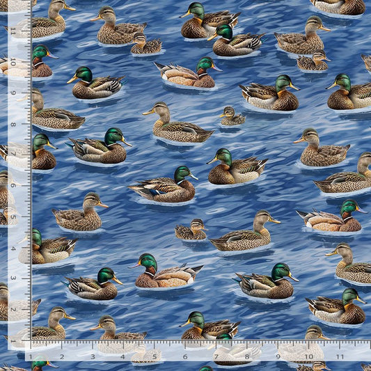 Animals - Timeless Treasures - Duck Blue - Yardage