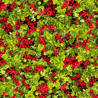 Hand Picked Christmas Merry Berry Green Red Fabric