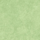 Shadow Play Flannel - Butterfly Green - Yardage