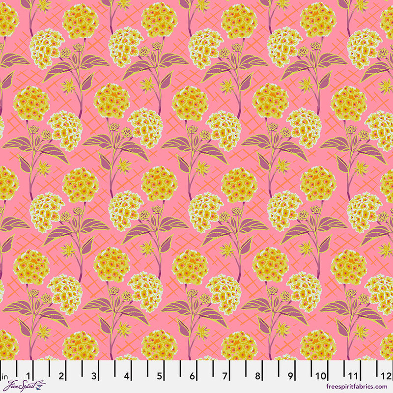 Our Fair Home Trellis Peach Fabric