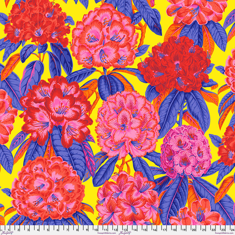 KFC August 2023 Rhododendrons Hot Fabric