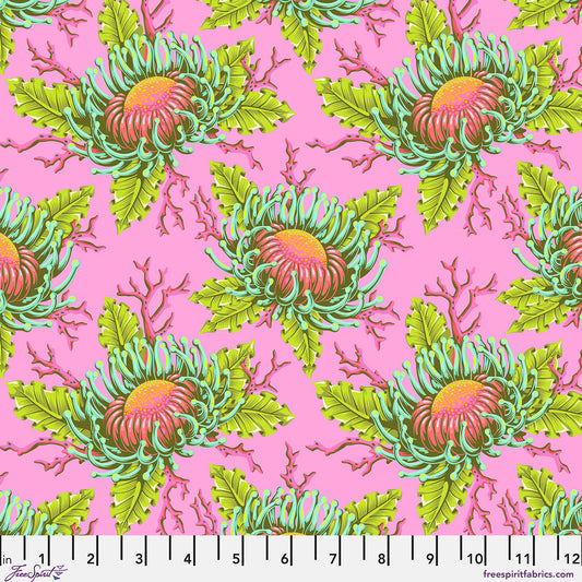 Floral Reef - Friends & Anemones - Coralline - Yardage
