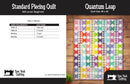 Quantum Leap Quilt 48" x 60"