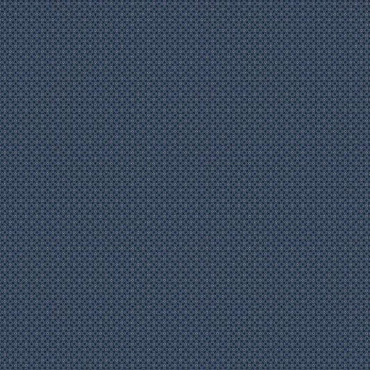Prairie Dry Goods II Mini Maze Navy Fabric