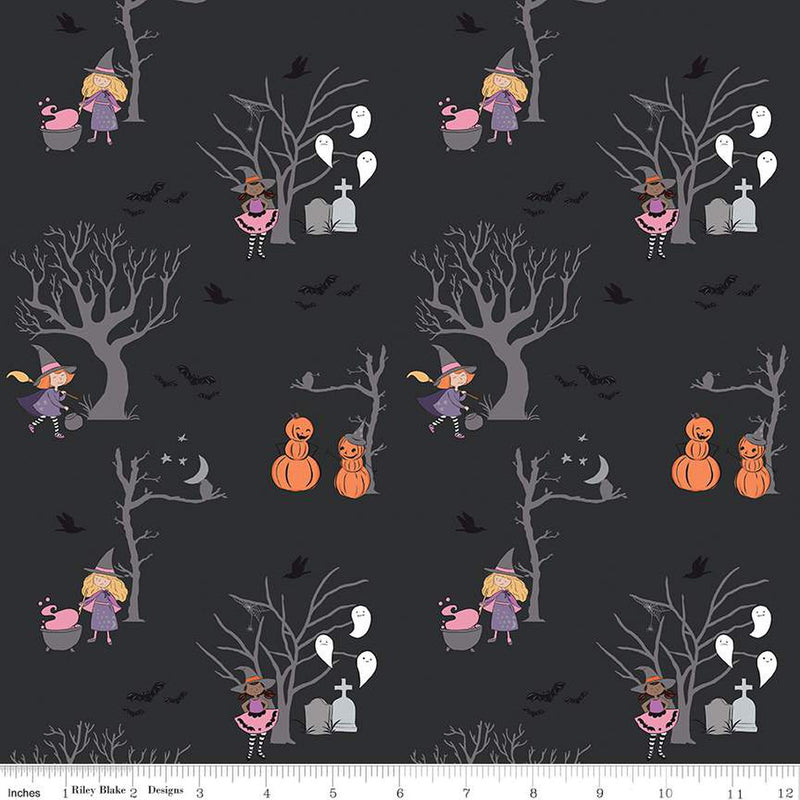 Spooky Schoolhouse Charcoal Main Yardage