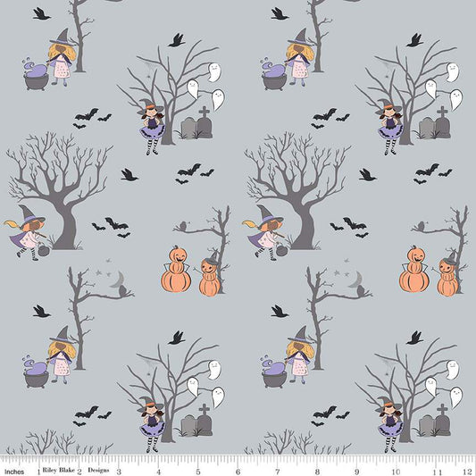 Spooky Schoolhouse Silver Main Yardage