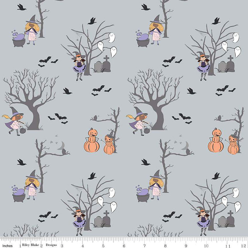 Spooky Schoolhouse Silver Main Yardage