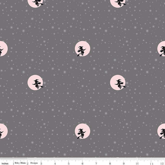 Spooky Schoolhouse Gray Sparkle Starry Night Yardage