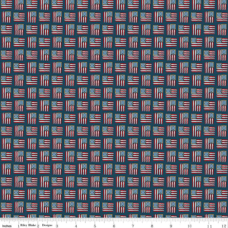 Riley Blake Sweet Freedom Flags Oxford Sparkle Fabric