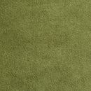 Solid Cuddle C3 - Cactus - Yardage