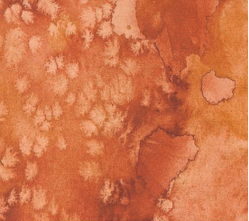 Desert Oasis Red Ochre Flow Yardage