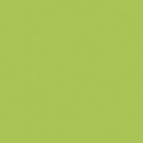 Confetti Cottons Riley Lime Yardage