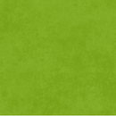Shadow Play Apple Green Fabric