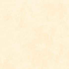 Shadow Play Antique Cream Yardage