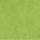 Shadow Play Flannel Green Flash Yardage