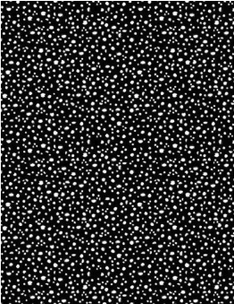 Connect The Dots Black Yardage