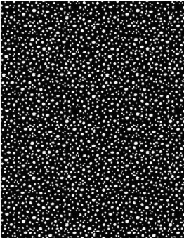 Connect The Dots Black Fabric