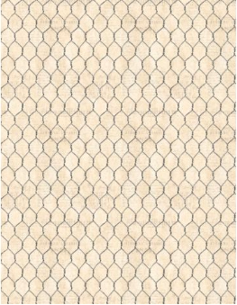 Garden Gate Roosters Chicken Wire Cream Yardage