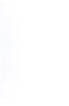 Essential Solid White Yardage