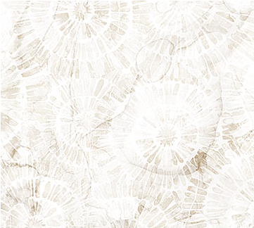 Sea Breeze Sand Dollars Cream Yardage