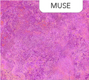 Stonehenge Gradations II Slate Muse Fabric