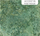 Stonehenge Gradiation II Slate Pine Ridge Fabric