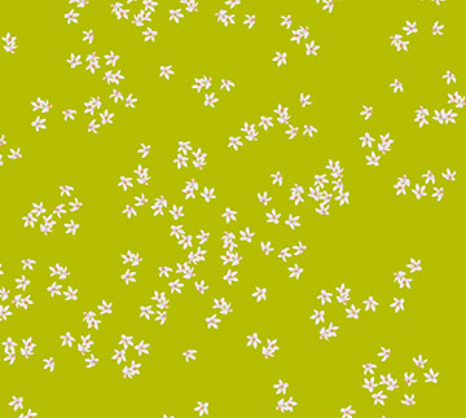 Margo Ditsy Floral Citrus Fabric