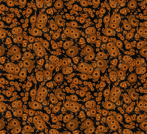 Laboratory Molecular Orange Fabric