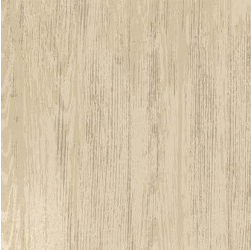 Chill & Grill BBQ Texture Beige Yardage