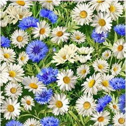 Summer Wildflowers Wild Field Cornflower Fabric