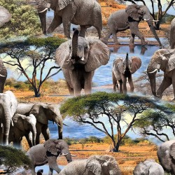 Serengeti Plains Trunk Show Dawn Yardage